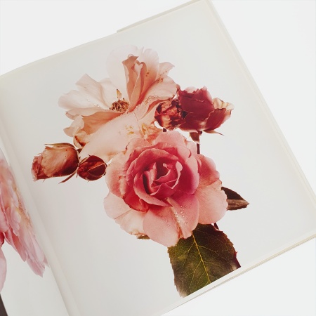 Flowers. Photographs by Irving Penn