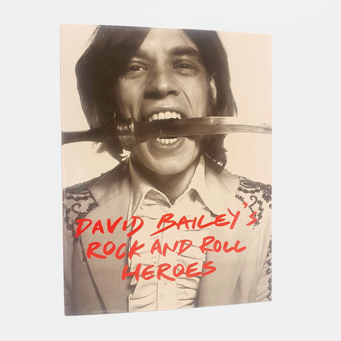 David Bailey's Rock and Roll Heroes