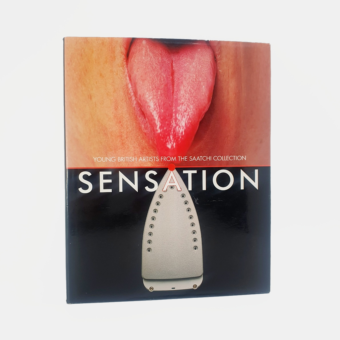 Sensation. Young British Artists from the Saatchi Collection