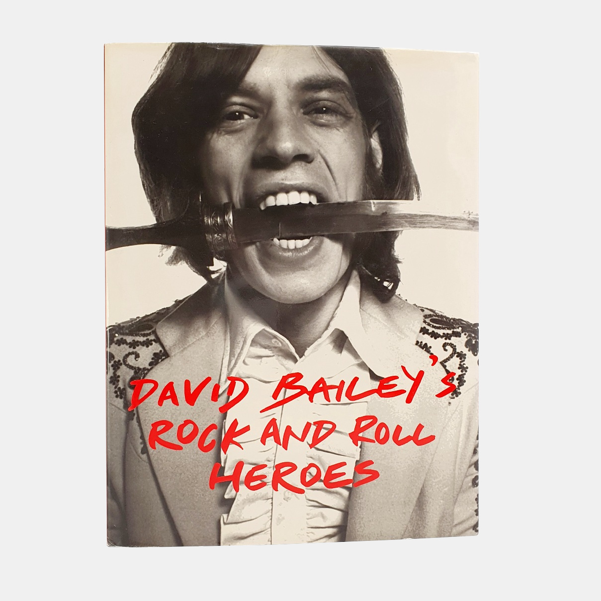 David Bailey's Rock and Roll Heroes